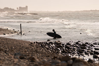 View of birds on beach