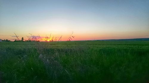 Scenic view of field against sky at sunset