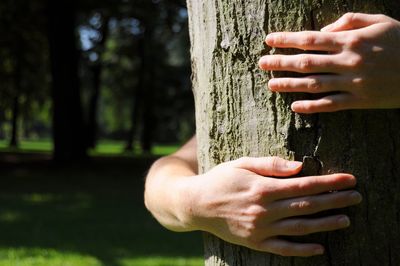 Cropped hand of woman holding tree trunk at park
