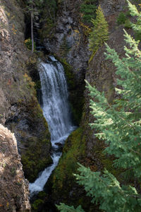 Scenic view of waterfall in forest