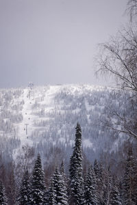 winter