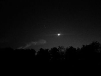 Low angle view of silhouette trees against sky at night