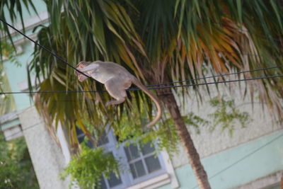 Bird perching on a branch