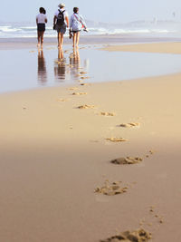 Low section of people at beach