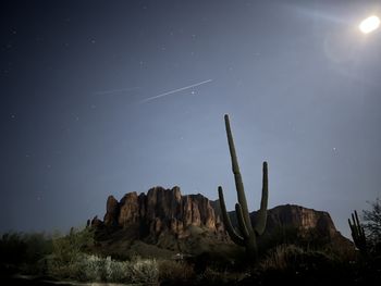 Low angle view of silhouette trees against sky at night