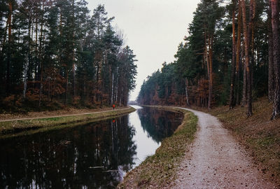 Canal amidst trees in forest against sky