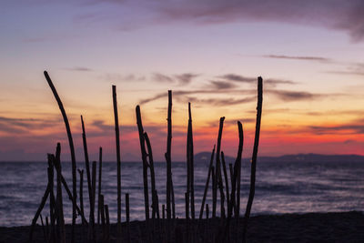 Silhouette wooden posts on beach against sky during sunset