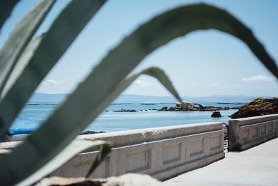 Retaining wall by sea seen through plants on sunny day