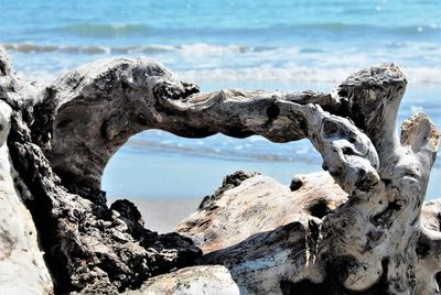 Close-up of rock on beach against sky