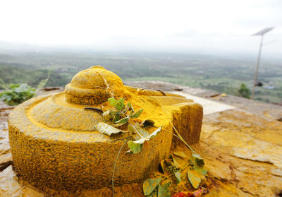 Lingam against landscape