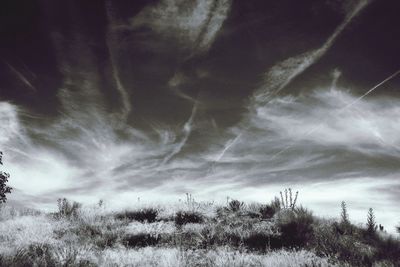 Scenic view of field against cloudy sky