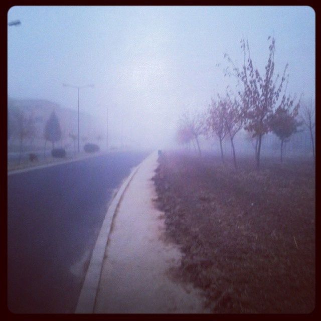 the way forward, transportation, transfer print, diminishing perspective, tree, road, vanishing point, auto post production filter, country road, bare tree, tranquil scene, tranquility, weather, fog, sky, nature, landscape, winter, empty road, scenics