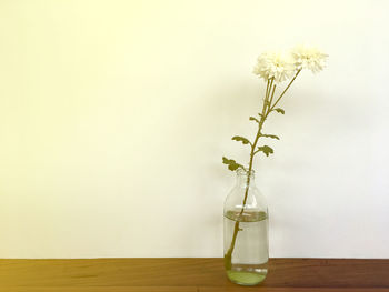 Close-up of flower vase on table