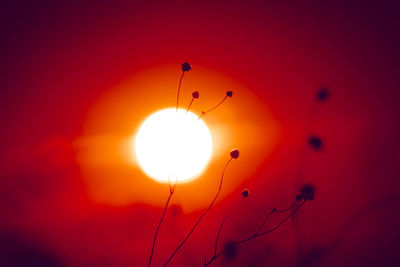 sun