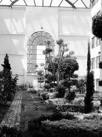 Plants growing in greenhouse against sky