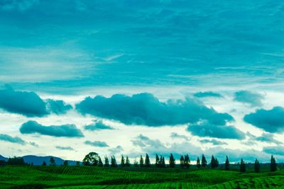 Panoramic view of field against sky