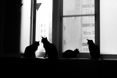 Low section of silhouette people sitting on window
