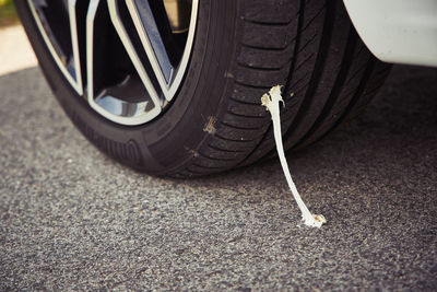 Close-up of black and car on road