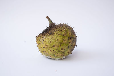 Close-up of fruit against white background