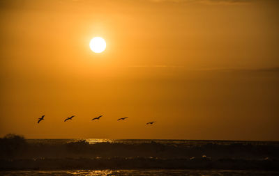 Silhouette birds flying over sea against orange sky