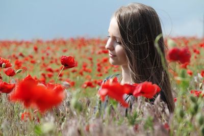 Portrait of red poppy flowers on field