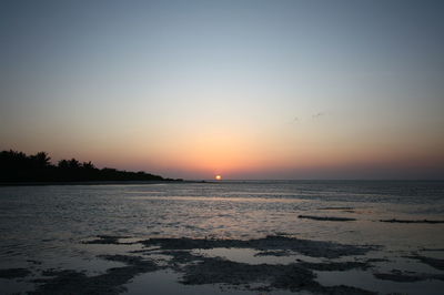 Scenic view of sea against clear sky during sunset