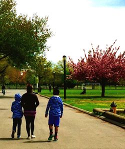 Rear view of people walking in park