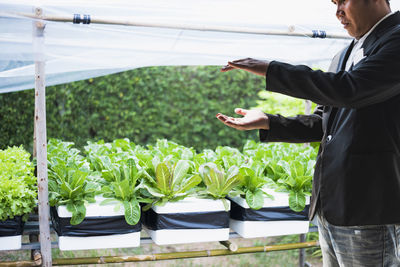 Midsection of man holding vegetables