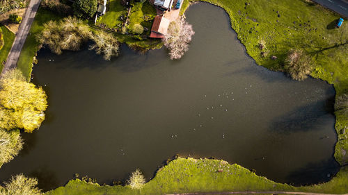 High angle view of lake amidst trees