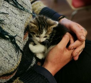 Close-up of woman holding kitten