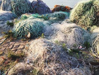 Close-up high angle view of fishing net