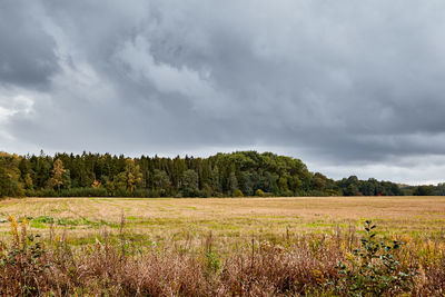 Scenic view of agricultural field against sky