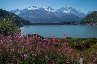 High angle view of dam against mountains