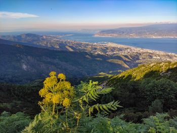 Scenic view of landscape and mountains against sky