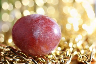 Close-up of apple on tree