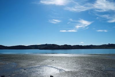 Scenic view of beach against blue sky