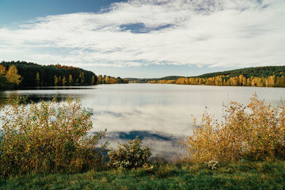 Scenic view of lake by trees against sky