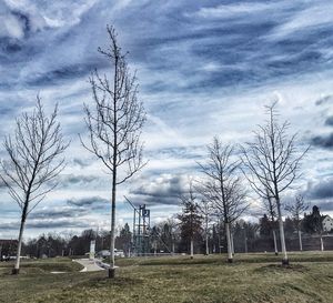 Bare trees on field against cloudy sky