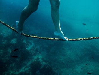 Low section of man swimming in sea