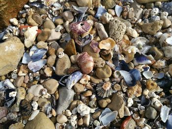 Full frame shot of pebbles at beach