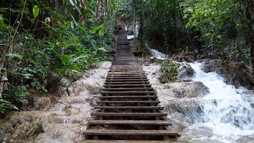 View of waterfall in forest