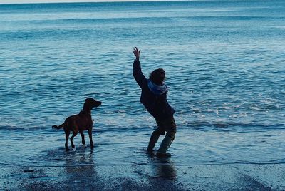 Silhouette teenage boy playing with dog at beach during sunset