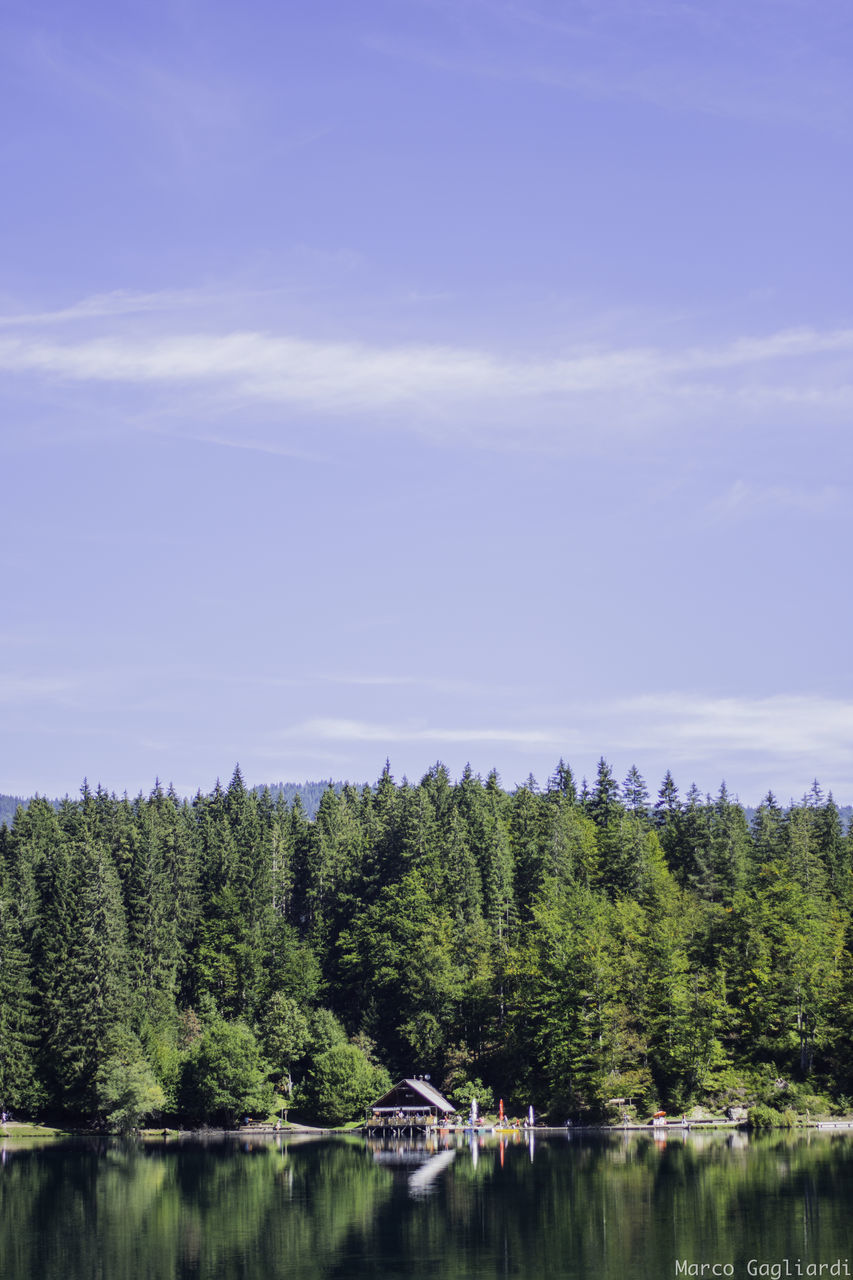 TREES BY LAKE AGAINST SKY