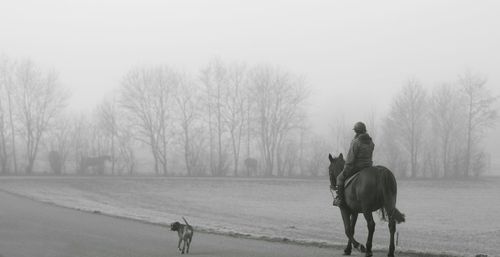 Rear view of person riding horse on road in foggy weather
