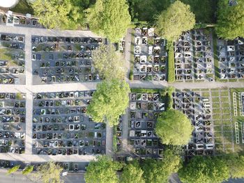 Buildings against trees in city