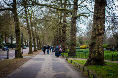 Road passing through forest