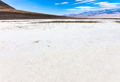 Surface level of shore against blue sky