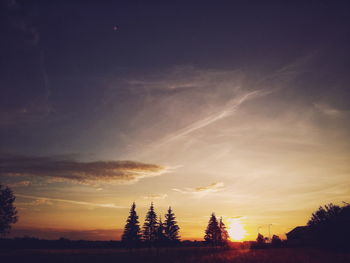 Silhouette trees on field against sky during sunset