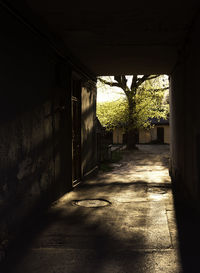 Empty alley amidst buildings