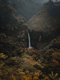 Scenic view of waterfall in forest